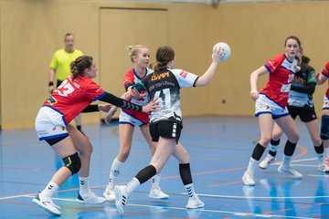 Bild 220 - wBJ HC Quickborn - HSG Tills Loew. : Ergebnis: 19:20